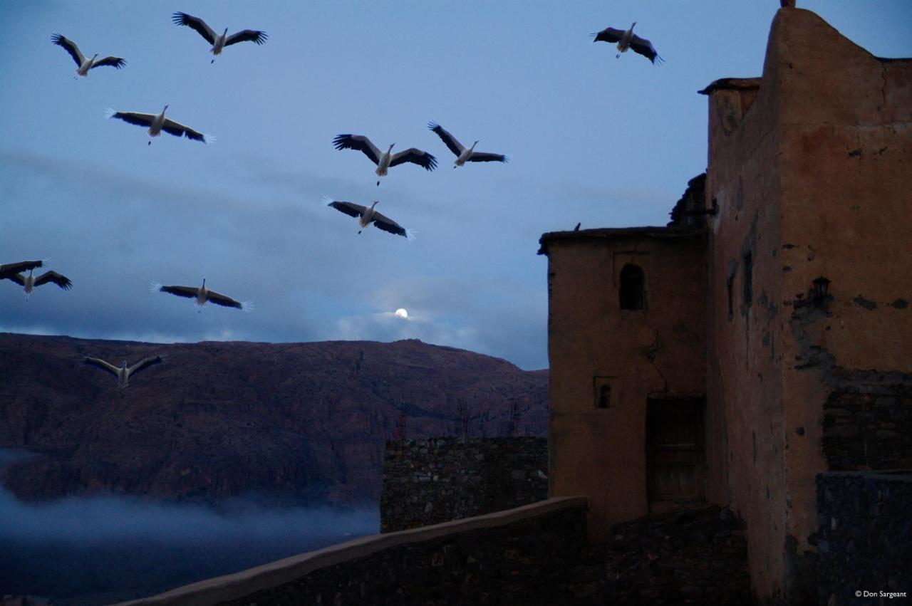 Guest house Tizourgane Kasbah